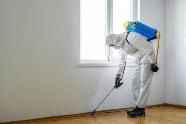 Pest Prevention Services in Athens, AL