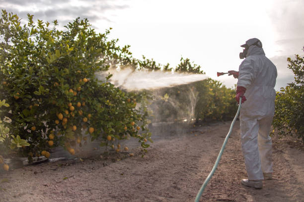 Best Local Pest Control Services  in Athens, AL