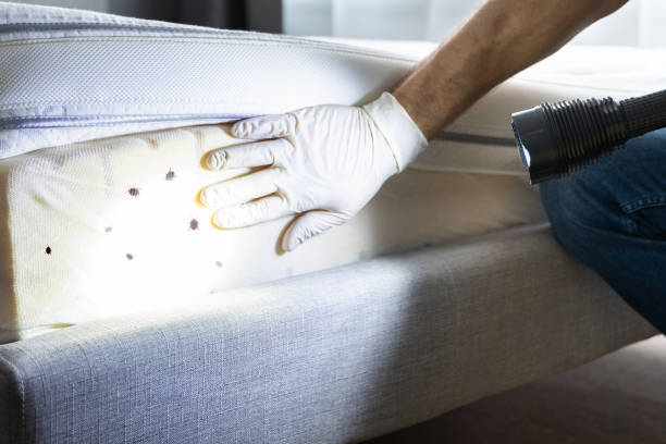 Best Bed Bug Extermination  in Athens, AL