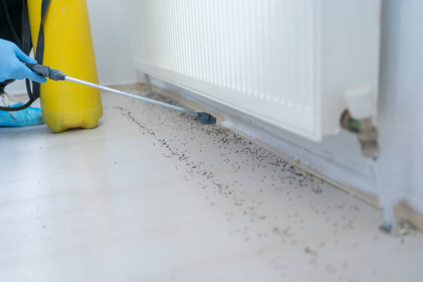 Best Pest Prevention Services  in Athens, AL