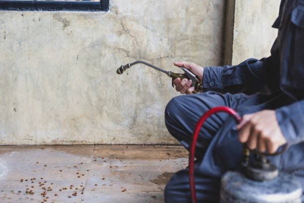 Best Pest Removal Services  in Athens, AL
