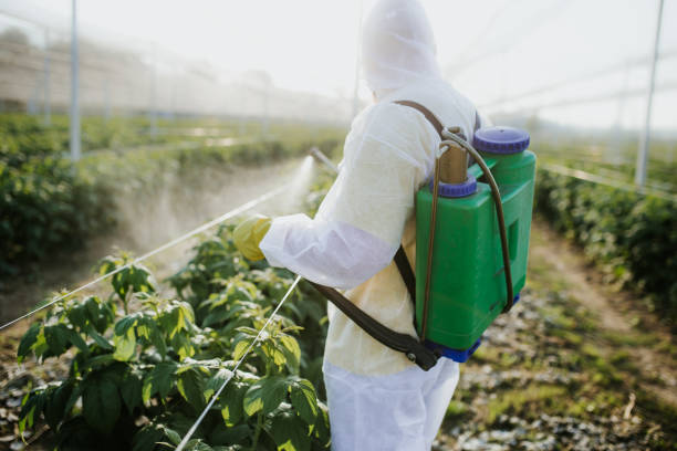 Best Wasp Removal Services  in Athens, AL